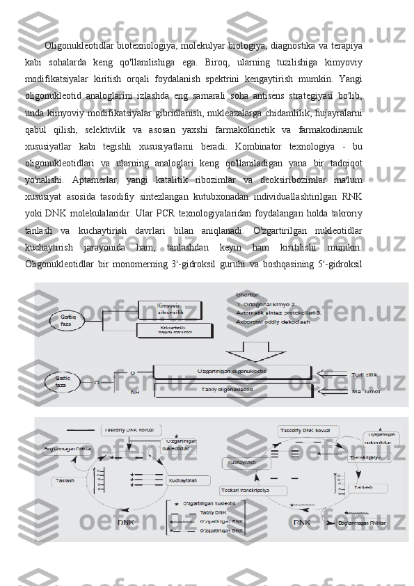 Oligonukleotidlar biotexnologiya, molekulyar biologiya, diagnostika va terapiya
kabi   sohalarda   keng   qo'llanilishiga   ega.   Biroq,   ularning   tuzilishiga   kimyoviy
modifikatsiyalar   kiritish   orqali   foydalanish   spektrini   kengaytirish   mumkin.   Yangi
oligonukleotid   analoglarini   izlashda   eng   samarali   soha   antisens   strategiyasi   bo'lib,
unda  kimyoviy   modifikatsiyalar   gibridlanish,   nukleazalarga   chidamlilik,   hujayralarni
qabul   qilish,   selektivlik   va   asosan   yaxshi   farmakokinetik   va   farmakodinamik
xususiyatlar   kabi   tegishli   xususiyatlarni   beradi.   Kombinator   texnologiya   -   bu
oligonukleotidlari   va   ularning   analoglari   keng   qo'llaniladigan   yana   bir   tadqiqot
yo'nalishi.   Aptamerlar,   yangi   katalitik   ribozimlar   va   deoksiribozimlar   ma'lum
xususiyat   asosida   tasodifiy   sintezlangan   kutubxonadan   individuallashtirilgan   RNK
yoki   DNK  molekulalaridir.  Ular   PCR   texnologiyalaridan  foydalangan  holda  takroriy
tanlash   va   kuchaytirish   davrlari   bilan   aniqlanadi.   O'zgartirilgan   nukleotidlar
kuchaytirish   jarayonida   ham,   tanlashdan   keyin   ham   kiritilishi   mumkin.
Oligonukleotidlar   bir   monomerning   3'-gidroksil   guruhi   va   boshqasining   5'-gidroksil 
