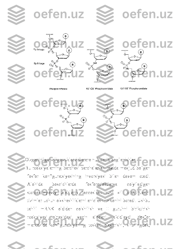 O'zgartirilgan oligonukleotidlararo nukleotid bog'lanishlar.
Bu   reaksiyalarning   barchasi   parchalanish   joyida   mavjud   bo'lgan
fosfor   konfiguratsiyasining   inversiyasi   bilan   davom   etadi.
Alohida   bosqichlarda   fosforotioatlarga   qo'yiladigan
stereokimyoviy   talablarni   taqqoslash   turli   xil   biriktiruvchi
tizimlar uchun o'xshashliklarni aniqlash imkonini beradi. Ushbu
tahlil   mRNK   oldidan   qo'shilish   va   II   guruhni   biriktirish
reaktsiyasi   o'rtasidagi   yaqin   aloqani   ta'kidlaydi.   Fosfor
markazida   konfiguratsiyaning   teskari   o'zgarishi,   shuningdek, 