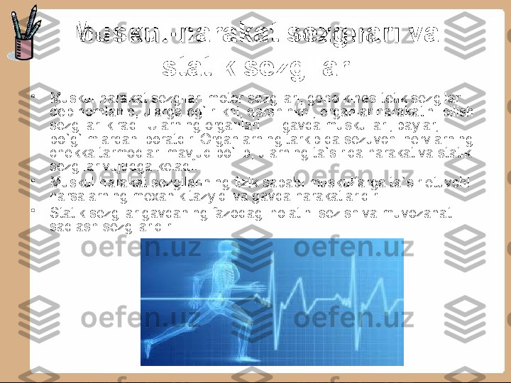 Muskul-harakat sezgilari va 
statik sezgilar
•
Muskul-harakat sezgilari motor sezgilari, goho kines-tetik sezgilar 
deb nomlanib, ularga og`irlikni, qarshihkni, organlar harakatini bilish 
sezgilari kiradi. Ularning organlari — gavda muskullari, paylar, 
bo`g`imlardan iboratdir. Organlarning tarkibida sezuvchi nervlarning 
chekka tarmoqlari mavjud bo`lib, ularning ta`sirida harakat va statik 
sezgilar vujudga keladi.
•
Muskul-harakat sezgilarining fizik sababi muskulfarga ta`sir etuvchi 
narsalarning mexanik tazyiqi va gavda harakatlaridir.
•
Statik sezgilar gavdaning fazodagi holatini sezish va muvozanat 
saqlash sezgilaridir. 