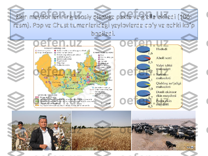 Ekin maydonlarining asosiy qismiga paxta va g‘alla ekiladi (106-
rasm). Pop va Chust tumanlaridagi yaylovlarda qo‘y va echki ko‘p 
boqiladi.   