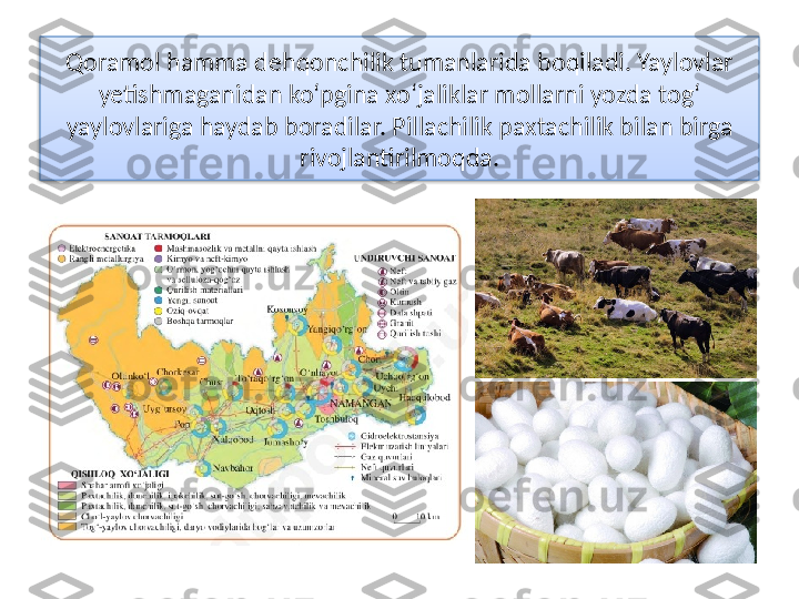 Qoramol hamma dehqonchilik tumanlarida boqiladi. Yaylovlar 
yetishmaganidan ko‘pgina xo‘jaliklar mollarni yozda tog‘ 
yaylovlariga haydab boradilar. Pillachilik paxtachilik bilan birga 
rivojlantirilmoqda.  