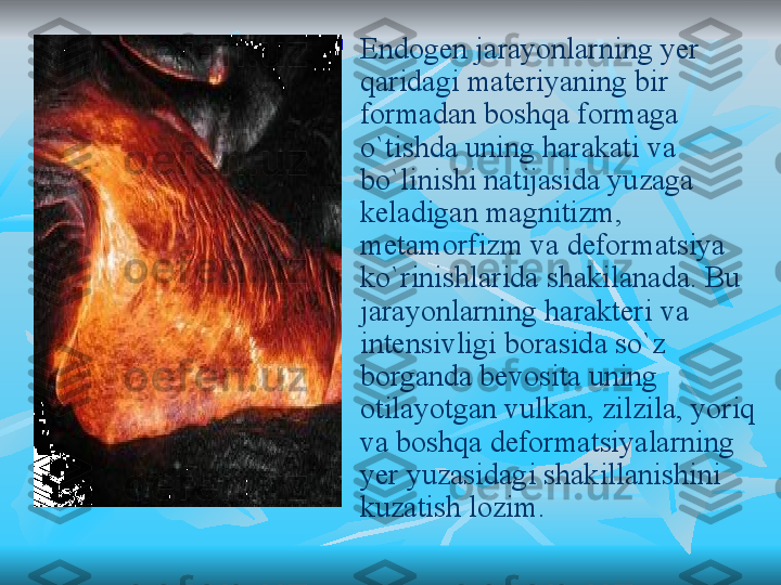 
Endogen jarayonlarning yer 
qaridagi materiyaning bir 
formadan boshqa formaga 
o`tishda uning harakati va 
bo`linishi natijasida yuzaga 
keladigan magnitizm, 
metamorfizm va deformatsiya 
ko`rinishlarida shakilanada. Bu 
jarayonlarning harakteri va 
intensivligi borasida so`z 
borganda bevosita uning 
otilayotgan vulkan, zilzila, yoriq 
va boshqa deformatsiyalarning 
yer yuzasidagi shakillanishini 
kuzatish lozim. 