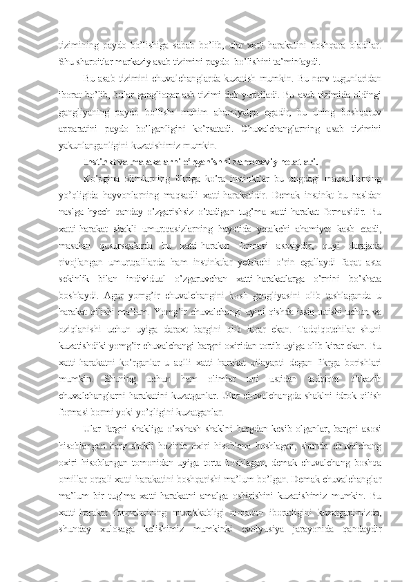 tizimining   paydo   bo’lishiga   sabab   bo’lib,   ular   xatti-harakatini   boshqara   oladilar.
Shu sharoitlar markaziy asab tizimini paydo  bo’lishini ta’minlaydi.
Bu  asab  tizimini   chuvalchanglarda  kuzatish   mumkin.  Bu  nerv  tugunlaridan
iborat   bo’lib,   bular   ganglionar   asb   tizimi   deb   yuritiladi.   Bu   asab   tizimida   oldingi
gangliyaning   paydo   bo’lishi   muhim   ahamiyatga   egadir,   bu   uning   boshqaruv
apparatini   paydo   bo’lganligini   ko’rsatadi.   Chuvalchanglarning   asab   tizimini
yakunlanganligini kuzatishimiz mumkin.
Instinkt va malakalarni o’rganishni zamonaviy holatlari.
Ko’pgina   olimlarning   fikriga   ko’ra   instinktlar   bu   ongdagi   maqsadlarning
yo’qligida   hayvonlarning   maqsadli   xatti-harakatidir.   Demak   instinkt   bu   nasldan
naslga   hyech   qanday   o’zgarishsiz   o’tadigan   tug’ma   xatti-harakat   formasidir.   Bu
xatti-harakat   shakli   umurtqasizlarning   hayotida   yetakchi   ahamiyat   kasb   etadi,
masalan   qusursqalarda   bu   xatti-harakat   formasi   asosiydir,   quyi   darajada
rivojlangan   umurtqalilarda   ham   instinktlar   yetakchi   o’rin   egallaydi   faqat   asta
sekinlik   bilan   individual   o’zgaruvchan   xatti-harakatlarga   o’rnini   bo’shata
boshlaydi.   Agar   yomg’ir   chuvalchangini   bosh   gangliyasini   olib   tashlaganda   u
harakat qilishi ma’lum. Yomg’ir chuvalchangi  uyini qishda issiq  tutishi  uchun va
oziqlanishi   uchun   uyiga   daraxt   bargini   olib   kirar   ekan.   Tadqiqotchilar   shuni
kuzatishdiki yomg’ir chuvalchangi bargni oxiridan tortib uyiga olib kirar ekan. Bu
xatti-harakatni   ko’rganlar   u   aqlli   xatti   harakat   qilayapti   degan   fikrga   borishlari
mumkin.   Shuning   uchun   ham   olimlar   uni   ustidan   tadqiqot   o’tkazib
chuvalchanglarni   harakatini   kuzatganlar.   Ular   chuvalchangda   shaklni   idrok   qilish
formasi bormi yoki yo’qligini kuzatganlar. 
Ular   fargni   shakliga   o’xshash   shaklni   bargdan   kesib   olganlar,   bargni   asosi
hisoblangan   barg   shakli   hozirda   oxiri   hisoblana   boshlagan,   shunda   chuvalchang
oxiri   hisoblangan   tomonidan   uyiga   torta   boshlagan,   demak   chuvalchang   boshqa
omillar orqali xatti-harakatini boshqarishi ma’lum bo’lgan. Demak chuvalchanglar
ma’lum   bir   tug’ma   xatti-harakatni   amalga   oshirishini   kuzatishimiz   mumkin.   Bu
xatti-harakat   formalarining   murakkabligi   nimadan   iboratligini   kuzatganimizda,
shunday   xulosaga   kelishimiz   mumkinki   evolyusiya   jarayonida   qandaydir 