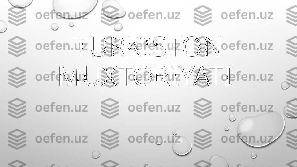 TURKISTON 
MUXTORIYATI  