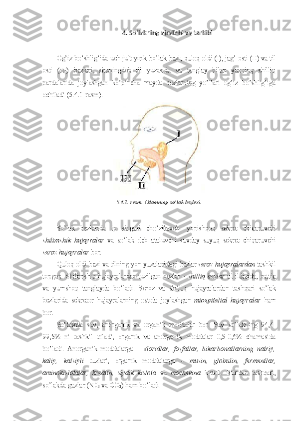 4. So‘lakning ajralishi va tarkibi
Og’iz bo’shlig’ida uch juft yirik bo’lak bezi; quloq oldi (I), jag’ osti (II) va til
osti   (III)   bezlari,   shuningdek   til   yuzasida   va   tanglay   bilan   yuzning   shilliq
pardalarida   joylashgan   ko’pincha   mayda   bezlarning   yo’llari   og’iz   bo’shlig’iga
ochiladi (5.4.1-rasm).
5.4.1.- rasm .  Odamning   so ’ lak   bezlari .
So ’ lak   bezlarida   ip   singari   cho ’ ziluvchi   yopishqoq   sekret   chiqaruvchi
shilimshik   hujayralar   va   so ’ lak   deb   ataluvchi   suvday   suyuq   sekret   chiqaruvchi
seroz   hujayralar   bor .
Quloq   oldi   bezi   va   tilning   yon   yuzalaridagi   bezlar   seroz   hujayralardan   tashkil
topgan .   Shilimshiq   hujayralardan   tuzilgan   bezlar   –   shilliq   bezlar   til   ildizida ,   qattiq
va   yumshoq   tanglayda   bo ’ ladi .   Seroz   va   shilliq   hujayralardan   tashqari   so ’ lak
bezlarida   sekretor   hujayralarning   ostida   joylashgan   mioepitelial   hujayralar   ham
bor . 
So’lakda   suv,   anorganik   va   organik   moddalar   bor.   Suv   so’lakning   94,4-
99,5%   ni   tashkil   qiladi,   organik   va   anorganik   moddalar   0,5-0,6%   chamasida
bo’ladi.   Anorganik   moddalarga   –   xloridlar ,   fosfatlar ,   bikarbonatlarning   natriy ,
kaliy ,   kalsiyli   tuzlari,   organik   moddalarga   -   musin ,   globulin ,   fermentlar ,
aminokislotalar ,   kreatin ,   siydik   kislota   va   mochevina   kiradi.   Bundan   tashqari,
so’lakda gazlar (N0
2  va CO
2 ) ham bo’ladi. 