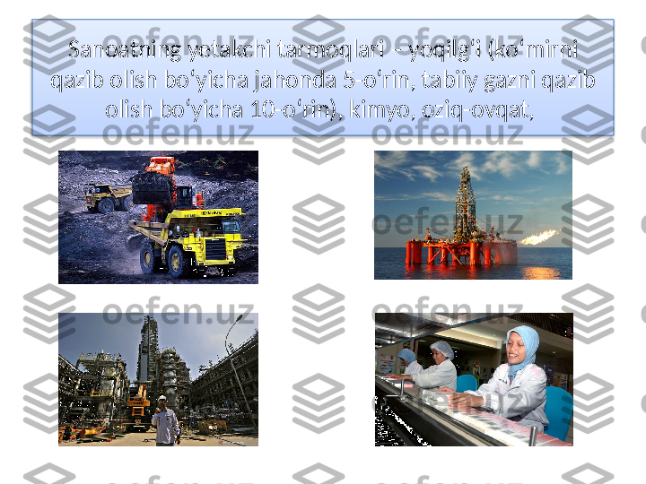 Sanoatning yetakchi tarmoqlari – yoqilg‘i (ko‘mirni 
qazib olish bo‘yicha jahonda 5-o‘rin, tabiiy gazni qazib 
olish bo‘yicha 10-o‘rin), kimyo, oziq-ovqat,   