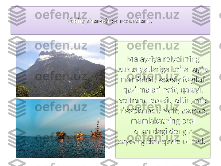 Tabiiy sharoiti va resurslari. . 
Malayziya relyefining 
xususiyatlariga ko‘ra tog‘li 
mamlakat. Asosiy foydali 
qazilmalari neft, qalayi, 
volfram, boksit, oltin, mis 
hisoblanadi. Neft, asosan, 
mamlakatning orol 
qismidagi dengiz 
sayozligidan qazib olinadi.    