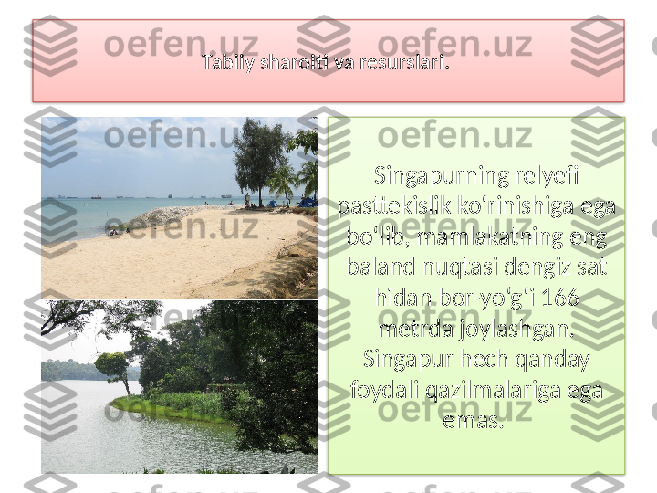 Tabiiy sharoiti va resurslari. 
Singapurning relyefi 
pasttekislik ko‘rinishiga ega 
bo‘lib, mamlakatning eng 
baland nuqtasi dengiz sat 
hidan bor-yo‘g‘i 166 
metrda joylashgan. 
Singapur hech qanday 
foydali qazilmalariga ega 
emas.    