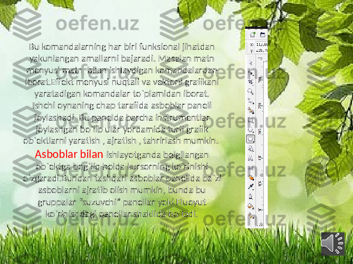 Bu komandalarning har biri funksional jihatdan 
yakunlangan amallarni bajaradi. Masalan matn 
menyusi matn  bilan ishlaydigan komandalardan 
iborat.Effekt menyusi nuqtali va vektorli grafikani 
yaratadigan komandalar to`plamidan iborat.
Ishchi oynaning chap tarafida asboblar paneli 
joylashadi. Bu panelda barcha instrumentlar 
joylashgan bo`lib ular yordamida turli grafik 
ob`ektlarni yaratish , ajratish , tahrirlash mumkin. 
Asboblar bilan  ishlayotganda belgilangan 
ob`ektga bog`liq holda kursorning ko`rinishi 
o`zgaradi.Bundan tashqari asboblar panelida ba`zi 
asboblarni ajratib olish mumkin, bunda bu 
gruppalar “suzuvchi” panellar yoki Fluoyut 
ko`rinishdagi panellar shaklida bo`ladi. 