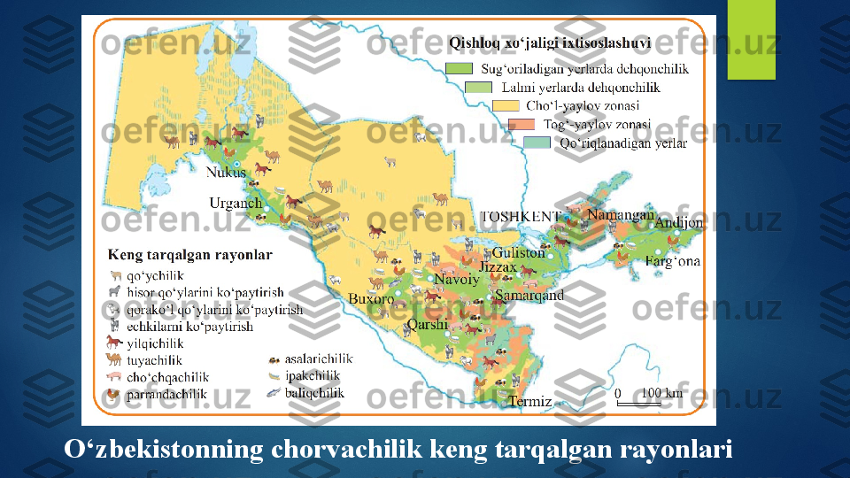 O‘zbekistonning chorvachilik keng tarqalgan rayonlari   