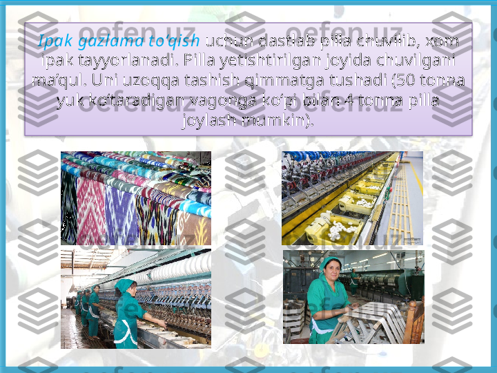 I pak  gazlama t o‘qish  uchun dastlab pilla chuvilib, xom 
ipak tayyorlanadi. Pilla yetishtirilgan joyida chuvilgani 
ma’qul. Uni uzoqqa tashish qimmatga tushadi (50 tonna 
yuk ko‘taradigan vagonga ko‘pi bilan 4 tonna pilla 
joylash mumkin).   