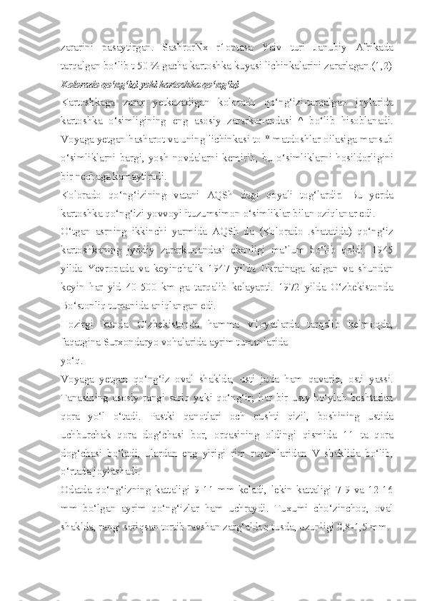 zararini   pasaytirgan.   SashrorNx   r1optasa   Yeiv   turi   Janubiy   Afrikada
tarqalgan bo‘lib t 50 % gacha kartoshka kuyasi lichinkalarini zararlagan.(1,2)
Kolorado qo‘ng‘izi yoki kartoshka qo‘ng‘izi 
Kartoshkaga   zarar   yetkazadigan   kolorado   qo‘ng‘izi-tarqalgan   joylarida
kartoshka   o‘simligining   eng   asosiy   zararkunandasi   ^   bo‘lib   hisoblanadi.
Voyaga yetgan hasharot va uning lichinkasi to-* matdoshlar oilasiga mansub
o‘simliklarni   bargi,   yosh   novdalarni   kemirib,   bu   o‘simliklarni   hosildorligini
bir nechaga kamaytiradi.
Kolorado   qo‘ng‘izining   vatani   AQSh   dagi   qoyali   tog‘lardir.   Bu   yerda
kartoshka qo‘ng‘izi yovvoyi ituzumsimon o‘simliklar bilan oziqlanar edi.
O‘tgan   asrning   ikkinchi   yarmida   AQSh   da   (Kolorado   .shatatida)   qo‘ng‘iz
kartoshkaning   jyddiy   zararkunandasi   ekanligi   ma’lum   bo‘lib   qoldi.   1945
yilda   Yevropada   va   keyinchalik   1947   yilda   Ukrainaga   kelgan   va   shundan
keyin   har   yid   40-500   km   ga   tarqalib   kelayapti.   1972   yilda   O‘zbekistonda
Bo‘stonliq tumanida aniqlangan edi.
Hozirgi   kunda   O‘zbekistonda   hamma   viloyatlarda   tarqalib   kelmoqda,
faqatgina Surxondaryo vohalarida ayrim tumanlarida
yo‘q.
Voyaga   yetgan   qo‘ng‘iz   oval   shaklda,   usti   juda   ham   qavariq,   osti   yassi.
Tanasining   asosiy   rangi   sariq   yoki   qo‘ng‘ir;   har   bir   usty   bo‘ylab   beshtadan
qora   yo‘l   o‘tadi.   Pastki   qanotlari   och   pushti   qizil,   boshining   ustida
uchburchak   qora   dog‘chasi   bor,   orqasining   oldingi   qismida   11   ta   qora
dog‘chasi   bo‘ladi,   ulardan   eng   yirigi   rim   raqamlaridan   V   shaklida   bo‘lib,
o‘rtada joylashadi.
Odatda   qo‘ng‘izning   kattaligi   9-11   mm   keladi,   lekin   kattaligi   7-9   va   12-16
mm   bo‘lgan   ayrim   qo‘ng‘izlar   ham   uchraydi.   Tuxumi   cho‘zinchoq,   oval
shaklda, rangi sariqsan tortib ravshan zarg‘aldoq tusda, uzunligi 0,8-1,5 mm. 