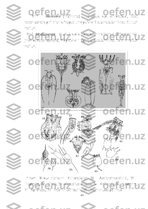 Sinfi   -   Bdelloidea   (Digononta)   –   chuchuk   suv   kolovratkasi,   faqat
partenogenetik yo‘l bilan ko‘payadi.   Jinsiy a’zosi 2 ta gonadadan iborat. 300 turi
ma’lum.
Sinfi - Monogononta   – chuchuk suv kolovratkalari hisoblanadi, ko‘payishi ikki
jinsli va partenogenetik, jinsiy a’zosi 1 tagina gonadadan iborat. 1500 ming turi
ma’lum.
4-rasm.   Xovuz   planktoni.   Kolovratkalar:   25   -   Asplanchnasieboldi,   26   -
Polyarthra, 27 - Filinia, 28 - Keratellacochlearis, 29 - Kellicottia, 30 - Hexarthra,
31 - Synchaeta, 32 - Brachionusplicatilis, 33 - Brachionuscalyciflorus.
43  