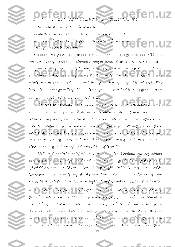 Bo‘g‘imoyoqlilar tipi: Arthropoda von Siebold et Stannius, 1845
Qisqichbaqasimonlar sinfi: Crustacea
Jabraoyoqlilar kenja sinfi: Branchiopoda Latreille, 1817
S h oxdormo‘lovli qisqichbaqasimonlar turkumi(Cladocera)
Dafniyalar avlodi: Daphnia
Shoxdor   mo‘ylovli   qisqichbaqasimonlarning   10   oilaga   mansub   420   turi
ma’lum. Eng yirik vakili –   Daphnia magna Straus . Kichik suv havzalariga xos.
Urg‘ochilarining   uzunligi   5-6   mm,   erkaklari   2   mm,   lichink alari   -   0,7   mm
atrofida .4   -   14   sut kada   voyaga   etadi .   Urg‘ochilari   har   12-14   kunda   20   tadan
erkak dafniyalarni tug‘adi. Urg‘ochi dafniyalar faqat yoz oylarida uchraydi. Y o z
buyi ular partenogenetik yo‘l bilan ko‘payadi. Tuxumdonida 80 tagacha tuxum
bo‘ladi. 110-150 sutkagacha umr ko‘rishadi.
Dafniyalarni   akvarium   sharoitida   o‘stirish   ishlari   bo‘yicha   tadqiqot   ishlari
olib   borildi.   Buning   uchun   2   ta   20   litrlik   akvariumdan   foydalanildi.   Birinchi
akvariumdagi dafniyalarni ozuqasini ko‘paytirish uchun somondan foydalanildi.
Ikkinchi   akvariumga   esa   akvarium   baliqlari   yashagan   suv   quyilib   dafniyalar
tashlandi.   Bu   olib   borilgan   tajribalardan   shu   narsa   ma’lum   bo‘ldiki,   turli
mikroorganizmlarga   boy   bo‘lgan   2-chi   akvariumdagi   dafniyalar   birinchi
akvariumdagiga nisbatan yuqori maxsuldorligi kuzatildi.
Ma’lumki   sho‘xdormo‘ylovli   qisqichbaqalardan   Daphnia   magna,   Moina
rectirostris   suvdagi   erigan   kislorod   juda   past   bo‘lganda   ham   yashay   oladi.
Qisqichbaqasimonlar   kislorod   kam   bo‘lganligi   sababli   ko‘payishini   keskin
kamaytiradi   va   populyasiyasi   rivojlanishini   sekinlatadi.   Bulardan   yuqori
maxsuldorlik olish uchun akvariumdagi kislorod sharoitini yaxshilashga harakat
qilish   kerak.   Dafniyalarni   ko‘payishi   va   o‘sishi   uchun   akvarium   tepasiga
yorug‘lik   tushib   turildi,   ikkinchisiga   esa   qorong‘i   joy   qilib   qo‘yildi.   Ikkalasida
ham   ko‘payish   kuzatildi.   Lekin   qorong‘i   va   yorug‘likni   o‘zgartirib   turilganda
ko‘proq   nasl   berishi   kuzatildi.   Olingan   natjalardan   shu   x ulosaga   keldikki
dafniyalar   uchun   yorug‘lik   va   qorong‘ilikning   farqi   kam.   Dafniyalarni   suv
omborida   o‘stirish   uchun   ozuqasiga   katta   e’tibor   berish   zarur.   Dafniyalar
44 