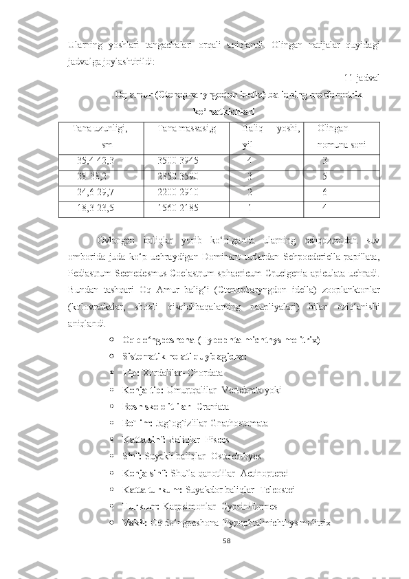 Ularning   yoshlari   tangachalari   orqali   aniqlandi.   Olingan   natijalar   quyidagi
jadvalga joylashtirildi:
11-jadval
Oq amur (Ctenopharyngodon idella) baliqning morfometrik
ko‘rsatkichlari
Tana uzunligi,
sm Tana massasi,g Baliq   yoshi,
yil Olingan
nomuna soni 
35,4-42,3 3500-3945 4 3
28-38,2 2850-3590 3 5
24,6-29,7 2200-2910 2 6
18,3-23,5 1560-2185 1 4
Ovlangan   baliqlar   yorib   ko‘rilganda   ularning   oshqozonidan   suv
omborida   juda   ko‘p   uchraydigan   Dominant   turlardan   Sehpoederiella   papillata,
Pediastrum Scenedesmus  Coelastrum  sphaericum  Crucigenia apiculata uchradi.
Bundan   tashqari   Oq   Amur   balig‘i   (Ctenopharyngdon   idella)   zooplanktonlar
(kolovratkalar,   shoxli   qisqichbaqalarning   naupliyalari)   bilan   oziqlanishi
aniqlandi.
 Oq do ngpeshonaʻ  ( Hypophtalmichthys molitrix )
 Sistematik holati quyidagicha:
 Tip:  Xordalilar- Chordata
 Kenja tip:  Umurtqalilar- Vertebrata yoki
 Bosh skelelitlilar - Craniata 
 Bo`lim:  Jag`og`izlilar-Gnathostomata
 Katta sinf:  Baliqlar- Pisces
 Sinf:  Suyakli baliqlar- Osteichthyes
 Kenja sinf:  Shu`la qanotlilar- Actinopterei
 Katta turkum:  Suyakdor baliqlar- Teleostei
 Turkum:  Karpsimonlar- Cypriniformes
 Vakil:  Oq do‘ngpeshona- Hypophtalmichthys molitrix
58 