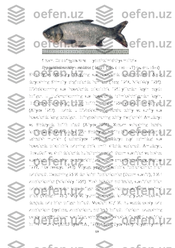 6-rasm.  Oq do ngpeshonaʻ  - Hypophtalmichthys molitrix
Hypophthalmichthys molitrix  ( Белый (обыкновенный) толстолобик ) -
Shimoliy   va   Markaziy   Xitoyning   suv   havzalarida   keng   tarqalgan.   Amur
daryosining   Shimoliy   qirg’oqlarida   ham   bor   (Berg   1948,   Nikolskiy   1956).
O’zbekistonning   suv   havzalarida   tolstolobik   1960-yillardan   keyin   paydo
bo’lgan.   U   Turkmanistonning   suv   havzalarida   iqlimlashtirilgandan   keyin,
Do’ngpeshona   chavog’i   fitofag   bo’lib,   birinchi   1958   yillarda   olib   kelingan
(Aliyev   1963).   Hozirda   u   O’zbekistonning   barcha   tabiiy   va   sun’iy   suv
havzalarida   keng   tarqalgan.   Do’ngpeshonaning   tabiiy   rivojlanishi   Amudaryo
va   Sirdaryoda   bo’lib   o’tadi   (Aliyev   1966).   Xorazm   vohasining   barcha
ko’llarida, yaniy Amudaryo bilan Sirdaryoga bog’liq bo’lgan suv havzalarida
uchratish   mumkin   (Haqberdiyev   1983).   Amudaryo   quyi   oqimidagi   suv
havzalarda   tolstolobik   oziqning   tipik   omili   sifatida   saqlanadi.   Amudaryo,
Dovudko’l va sholi dalalarida bu baliqning ozig’i diatom suvo’tlari va boshqa
suvo’tlari. Bular uchun ovqat tarkibi juda muhim emas (Shamshetov, Sagitov
1977,   P-avlovskaya   1982).   Voyaga   yetgan   tolstolobik   fitoplanktonlar   bilan
oziqlanadi. Ovqatining 95 % dan ko’pi fitoplanktonlar (diatom suvo’ti), 2 % i
zooplanktonlar   (Nikolskiy   1956).   Yosh   baliqlari   rotiferalar,   suvo’tilari   bilan
oziqlanadi.   15   mm   dan   katta   bo’lgan   baliqlar   plankton,   suvo’tlarini   iste’mol
qiladi   (Veregin   1950).   May   va   iyunni   boshlarida   ko’lning   yuzasi   maksimal
darajada   oziq   bilan   to’lgan   bo’ladi.   Masalan:   80,4   %.   Bu   vaqtda   asosiy   oziq
zooplankton   (cyclope,   zooplankton,   rotifera)   bo’ladi.   Plankton   ozuqasining
asosiy   qismlari   diatom   suvo’tilar,   spirogiraga   o’xshash   ko’k-yashil   suvo’tilar
bo’lishi mumkin (Abdullayev E.A., 1978, Haqberdiyev 1983). Noyabr oyining
59 