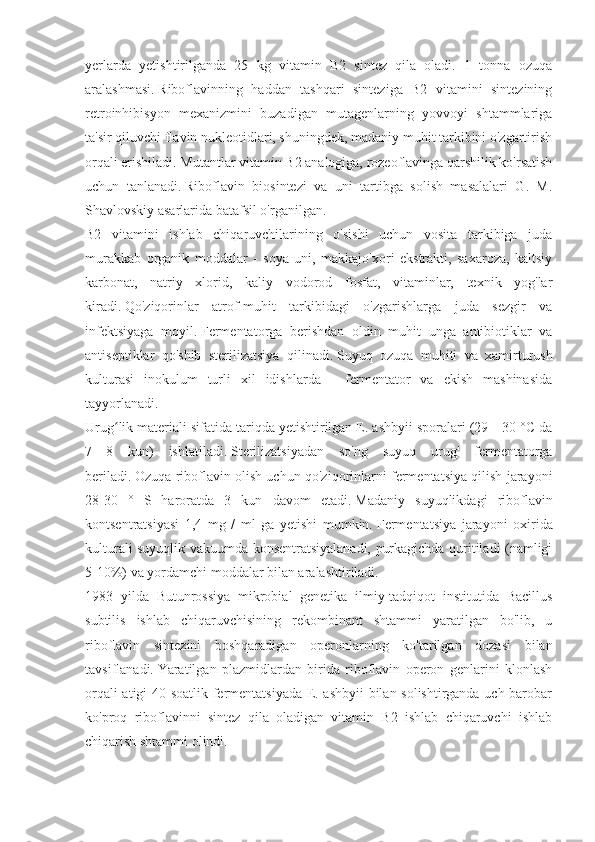 yerlarda   yetishtirilganda   25   kg   vitamin   B2   sintez   qila   oladi.   1   tonna   ozuqa
aralashmasi.   Riboflavinning   haddan   tashqari   sinteziga   B2   vitamini   sintezining
retroinhibisyon   mexanizmini   buzadigan   mutagenlarning   yovvoyi   shtammlariga
ta'sir qiluvchi flavin nukleotidlari, shuningdek, madaniy muhit tarkibini o'zgartirish
orqali erishiladi.   Mutantlar vitamin B2 analogiga, rozeoflavinga qarshilik ko'rsatish
uchun   tanlanadi.   Riboflavin   biosintezi   va   uni   tartibga   solish   masalalari   G.   M.
Shavlovskiy asarlarida batafsil o'rganilgan.
B2   vitamini   ishlab   chiqaruvchilarining   o'sishi   uchun   vosita   tarkibiga   juda
murakkab   organik   moddalar   -   soya   uni,   makkajo'xori   ekstrakti,   saxaroza,   kaltsiy
karbonat,   natriy   xlorid,   kaliy   vodorod   fosfat,   vitaminlar,   texnik   yog'lar
kiradi.   Qo'ziqorinlar   atrof-muhit   tarkibidagi   o'zgarishlarga   juda   sezgir   va
infektsiyaga   moyil.   Fermentatorga   berishdan   oldin   muhit   unga   antibiotiklar   va
antiseptiklar   qo'shib   sterilizatsiya   qilinadi.   Suyuq   ozuqa   muhiti   va   xamirturush
kulturasi   inokulum   turli   xil   idishlarda   -   fermentator   va   ekish   mashinasida
tayyorlanadi.
Urug lik materiali sifatida tariqda yetishtirilgan E. ashbyii sporalari (29—30 °C daʻ
7—8   kun)   ishlatiladi.   Sterilizatsiyadan   so'ng   suyuq   urug'   fermentatorga
beriladi.   Ozuqa riboflavin olish uchun qo'ziqorinlarni fermentatsiya qilish jarayoni
28-30   °   S   haroratda   3   kun   davom   etadi.   Madaniy   suyuqlikdagi   riboflavin
kontsentratsiyasi   1,4   mg   /   ml   ga   yetishi   mumkin.   Fermentatsiya   jarayoni   oxirida
kulturali suyuqlik vakuumda konsentratsiyalanadi, purkagichda quritiladi (namligi
5-10%) va yordamchi moddalar bilan aralashtiriladi.
1983   yilda   Butunrossiya   mikrobial   genetika   ilmiy-tadqiqot   institutida   Bacillus
subtilis   ishlab   chiqaruvchisining   rekombinant   shtammi   yaratilgan   bo'lib,   u
riboflavin   sintezini   boshqaradigan   operonlarning   ko'tarilgan   dozasi   bilan
tavsiflanadi.   Yaratilgan   plazmidlardan   birida   riboflavin   operon   genlarini   klonlash
orqali atigi 40 soatlik fermentatsiyada E. ashbyii  bilan solishtirganda uch barobar
ko'proq   riboflavinni   sintez   qila   oladigan   vitamin   B2   ishlab   chiqaruvchi   ishlab
chiqarish shtammi olindi. 