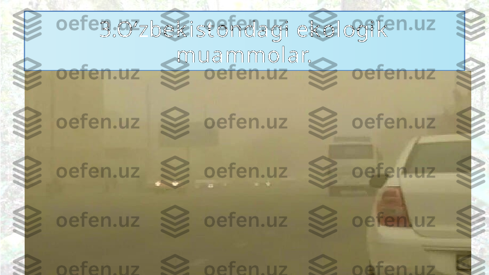 3.Oʻzbek ist ondagi ek ologik  
muammolar. 