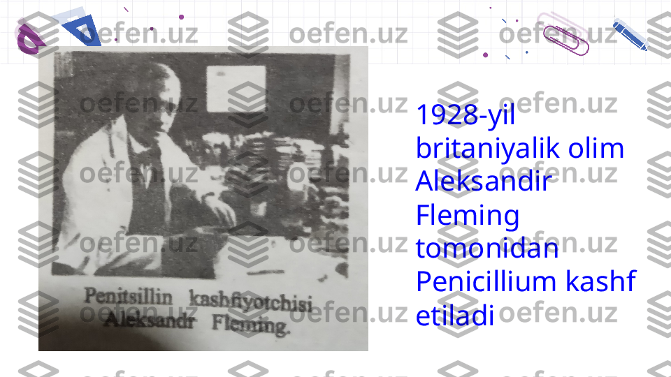 03 051928-yil 
britaniyalik olim 
Aleksandir 
Fleming 
tomonidan 
Penicillium kashf 
etiladi 
