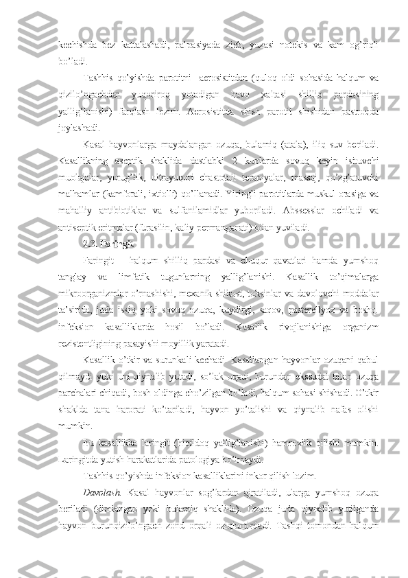 kechishda   bez   kattalashadi,   palpasiyada   zich,   yuzasi   notekis   va   kam   og’riqli
bo’ladi.
Tashhis   qo’yishda   parotitni     aerosistitdan   (quloq   oldi   sohasida   halqum   va
qizilo’ngachdan   yuqoriroq   yotadigan   havo   xaltasi   shilliq   pardasining
yallig’lanishi)   farqlash   lozim.   Aerosistitda   shish   parotit   shishidan   pastroqda
joylashadi. 
Kasal   hayvonlarga   maydalangan   ozuqa,   bulamiq   (atala),   iliq   suv   beriladi.
Kasallikning   aseptik   shaklida   dastlabki   2   kunlarda   sovuq   keyin   isituvchi
muolajalar,   yorug’lik,   ultrayuqori   chastotali   terapiyalar,   massaj,   qo’zg’atuvchi
malhamlar  (kamforali, ixtiolli)  qo’llanadi. Yiringli  parotitlarda muskul  orasiga va
mahalliy   antibiotiklar   va   sulfanilamidlar   yuboriladi.   Abssesslar   ochiladi   va
antiseptik eritmalar (furasilin, kaliy permanganati) bilan yuviladi. 
2.3. Faringit
Faringit   –   halqum   shilliq   pardasi   va   chuqur   qavatlari   hamda   yumshoq
tanglay   va   limfatik   tugunlarning   yallig’lanishi.   Kasallik   to’qimalarga
mikroorganizmlar o’rnashishi, mexanik shikast, toksinlar va davolovchi moddalar
ta’sirida,   juda   issiq   yoki   sovuq   ozuqa,   kuydirgi,   saqov,   pasterellyoz   va   boshq.
infeksion   kasalliklarda   hosil   bo’ladi.   Kasallik   rivojlanishiga   organizm
rezistentligining pasayishi moyillik yaratadi.
Kasallik   o’tkir   va   surunkali   kechadi.   Kasallangan   hayvonlar   ozuqani   qabul
qilmaydi   yoki   uni   qiynalib   yutadi,   so’lak   oqadi,   burundan   ekssudat   bilan   ozuqa
parchalari chiqadi, bosh oldinga cho’zilgan bo’ladi, halqum sohasi shishadi. O’tkir
shaklda   tana   harorati   ko’tariladi,   hayvon   yo’talishi   va   qiynalib   nafas   olishi
mumkin.
Bu   kasallikka   laringit   (hiqildoq   yallig’lanishi)   hamroxlik   qilishi   mumkin.
Laringitda yutish harakatlarida patologiya bo’lmaydi. 
Tashhis qo’yishda infeksion kasalliklarini inkor qilish lozim.
Davolash.   Kasal   hayvonlar   sog’lardan   ajratiladi,   ularga   yumshoq   ozuqa
beriladi   (dimlangan   yoki   bulamiq   shaklida).   Ozuqa   juda   qiynalib   yutilganda
hayvon   burunqizilo’ngach   zond   orqali   oziqlantiriladi.   Tashqi   tomondan   halqum 