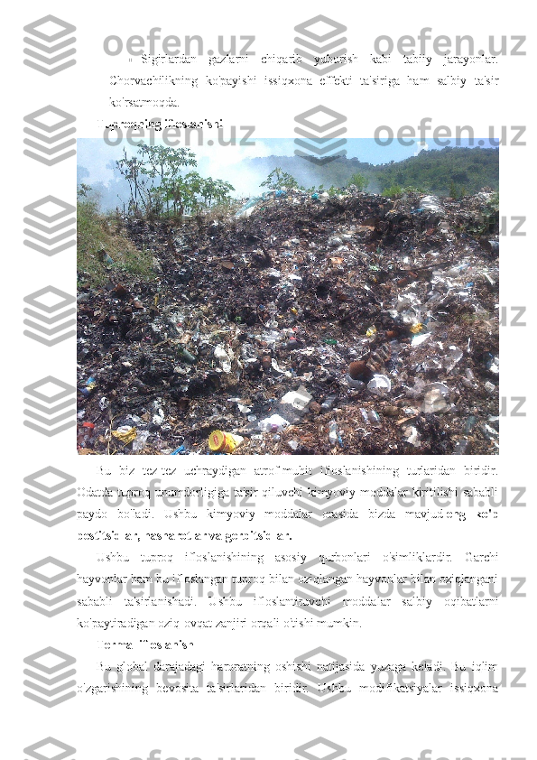  Sigirlardan   gazlarni   chiqarib   yuborish   kabi   tabiiy   jarayonlar.
Chorvachilikning   ko'payishi   issiqxona   effekti   ta'siriga   ham   salbiy   ta'sir
ko'rsatmoqda.
Tuproqning ifloslanishi
Bu   biz   tez-tez   uchraydigan   atrof-muhit   ifloslanishining   turlaridan   biridir.
Odatda tuproq unumdorligiga ta'sir qiluvchi kimyoviy moddalar kiritilishi  sababli
paydo   bo'ladi.   Ushbu   kimyoviy   moddalar   orasida   bizda   mavjud   eng   ko'p
pestitsidlar, hasharotlar va gerbitsidlar.
Ushbu   tuproq   ifloslanishining   asosiy   qurbonlari   o'simliklardir.   Garchi
hayvonlar ham bu ifloslangan tuproq bilan oziqlangan hayvonlar bilan oziqlangani
sababli   ta'sirlanishadi.   Ushbu   ifloslantiruvchi   moddalar   salbiy   oqibatlarni
ko'paytiradigan oziq-ovqat zanjiri orqali o'tishi mumkin.
Termal ifloslanish
Bu   global   darajadagi   haroratning   oshishi   natijasida   yuzaga   keladi.   Bu   iqlim
o'zgarishining   bevosita   ta'sirlaridan   biridir.   Ushbu   modifikatsiyalar   issiqxona 