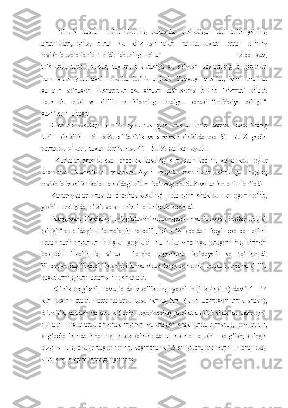 Chunki    tashqi     muhit    ularning    tanasidan     tushadigan   teri    epiteliysining
ajratmalari,   og’iz,     burun     va     ko’z     shilliqlari     hamda     axlati     orqali     doimiy
ravishda  zararlanib  turadi.  Shuning  uchun                                            oziqa,  suv,
to’shama,  turli  jihozlar,  tuxum,  inkubasiya  va  so’yish   sexlarining  chiqindilari
ham   virus   yuqtiruvchi   manba   bo’lib   qoladi.   Yovvoyi   qushlar,   kemiruvchilar
va   qon   so’ruvchi   hasharotlar   esa   virusni   tashuvchisi   bo’lib   “xizmat”   qiladi.
Parranda     terisi     va     shilliq     pardalarning     tirnalgan     sohasi     “infeksiya     eshigi   “
vazifasini  o’taydi. 
       Chechak   kasalligi   4 – 12   oylik   tovuqlar   orasida   ko’p   uchrab,   kasalikning
teri      shaklida  -  5 – 8 %,   difteritik   va   aralash   shaklida  esa  50 – 70 %  gacha
parranda  o’ladi,  tuxumdorlik  esa  40 – 50 %  ga  kamayadi.  
          Kurkalar   orasida   esa     chechak   kasalligi   surunkali   kechib,   xo’jalikda     oylar
davomida     kuzatilishi     mumkin.   Ayni     paytda   kasallikning   shakliga     bog’liq
ravishda kasal kurkalar  orasidagi o’lim  ko’rsatgichi 50% va undan ortiq  bo’ladi.
      Kanareykalar  orasida  chechak kasalligi  juda og’ir  shaklda  namoyon bo’lib,
yashin  tezligida, o’tkir va surunkali  oqimlarda kechadi.
      Patogenez.  Chechakni qo’zg’atuvchi virus organizmga  kirgach, dastlab ,,kirish
eshigi “ atrofidagi   to’qimalarda   tarqalib, 24 – 48   soatdan   keyin esa qon oqimi
orqali   turli   organlar     bo’ylab   yoyiladi.   Bu   holat   viremiya   jarayonining   birinchi
bosqichi   hisoblanib,   virus     barcha   organlarda   ko’payadi   va   to’planadi.
Viremiyaning ikkinchi bosqichida esa virus  keng qamrovli  tarqalib, teri va shilliq
qavatlarning jarohatlanishi boshlanadi.
         Klinik belgilari . Tovuqlarda kasallikning   yashirin (inkubasion) davri 4 – 14
kun   davom   etadi.   Parrandalarda   kasallikning   teri     (ko’p   uchrovchi   tipik   shakli),
difteritik,   aralash   va   atipik   (ichki   organlarning   jarohatlanishi)   shakllari   namoyon
bo’ladi.   Tovuqlarda   chechakning   teri   va   aralash   shakllarida   tumshuq,   qovoq,   toj,
sirg’acha   hamda   tananing   patsiz   sohalarida   doirasimon   oqish   –   sarg’ish,   so’ngra
qizg’ish dog’chalar paydo bo’lib, keyinchalik 0.5 sm gacha diametrli  o’lchamdagi
sugalsimon epiteliomaga aylanadi.  