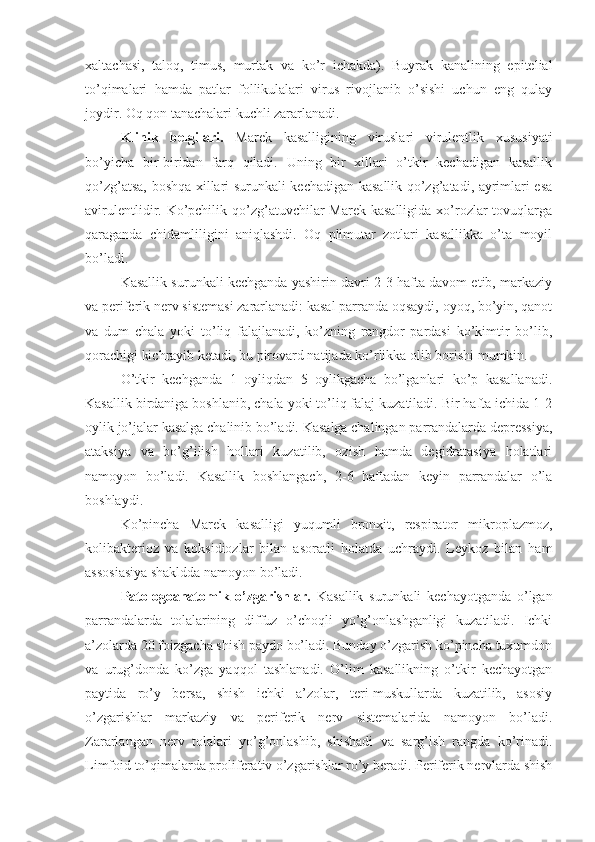 xaltachasi,   taloq,   timus,   murtak   va   ko’r   ichakda).   Buyrak   kanalining   epitelial
to’qimalari   hamda   patlar   follikulalari   virus   rivojlanib   o’sishi   uchun   eng   qulay
joydir. Oq qon tanachalari kuchli zararlanadi.
Klinik   belgilari.   Marek   kasalligining   viruslari   virulentlik   xususiyati
bo’yicha   bir-biridan   farq   qiladi.   Uning   bir   xillari   o’tkir   kechadigan   kasallik
qo’zg’atsa, boshqa xillari surunkali kechadigan kasallik qo’zg’atadi, ayrimlari esa
avirulentlidir. Ko’pchilik qo’zg’atuvchilar  Marek kasalligida  xo’rozlar  tovuqlarga
qaraganda   chidamliligini   aniqlashdi.   Oq   plimutar   zotlari   kasallikka   o’ta   moyil
bo’ladi.
Kasallik surunkali kechganda yashirin davri 2-3 hafta davom etib, markaziy
va periferik nerv sistemasi zararlanadi: kasal parranda oqsaydi, oyoq, bo’yin, qanot
va   dum   chala   yoki   to’liq   falajlanadi,   ko’zning   rangdor   pardasi   ko’kimtir   bo’lib,
qorachigi kichrayib ketadi, bu pirovard natijada ko’rlikka olib borishi mumkin.
O’tkir   kechganda   1   oyliqdan   5   oylikgacha   bo’lganlari   ko’p   kasallanadi.
Kasallik birdaniga boshlanib, chala yoki to’liq falaj kuzatiladi. Bir hafta ichida 1-2
oylik jo’jalar kasalga chalinib bo’ladi. Kasalga chalingan parrandalarda depressiya,
ataksiya   va   bo’g’ilish   hollari   kuzatilib,   ozish   hamda   degidratasiya   holatlari
namoyon   bo’ladi.   Kasallik   boshlangach,   2-6   haftadan   keyin   parrandalar   o’la
boshlaydi.
Ko’pincha   Marek   kasalligi   yuqumli   bronxit,   respirator   mikroplazmoz,
kolibakterioz   va   koksidiozlar   bilan   asoratli   holatda   uchraydi.   Leykoz   bilan   ham
assosiasiya shakldda namoyon bo’ladi.
Patologoanatomik   o’zgarishlar.   Kasallik   surunkali   kechayotganda   o’lgan
parrandalarda   tolalarining   diffuz   o’choqli   yo’g’onlashganligi   kuzatiladi.   Ichki
a’zolarda 20 foizgacha shish paydo bo’ladi. Bunday o’zgarish ko’pincha tuxumdon
va   urug’donda   ko’zga   yaqqol   tashlanadi.   O’lim   kasallikning   o’tkir   kechayotgan
paytida   ro’y   bersa,   shish   ichki   a’zolar,   teri-muskullarda   kuzatilib,   asosiy
o’zgarishlar   markaziy   va   periferik   nerv   sistemalarida   namoyon   bo’ladi.
Zararlangan   nerv   tolalari   yo’g’onlashib,   shishadi   va   sarg’ish   rangda   ko’rinadi.
Limfoid to’qimalarda proliferativ o’zgarishlar ro’y beradi. Periferik nervlarda shish 