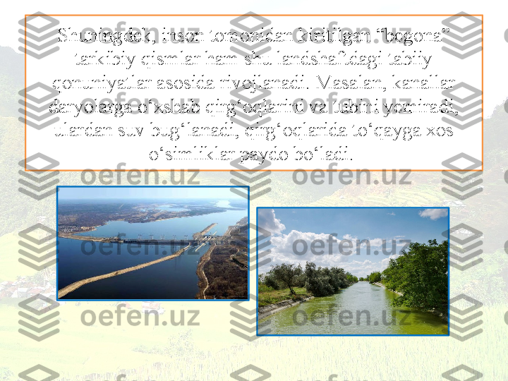 Shuningdek, inson tomonidan kiritilgan “begona” 
tarkibiy qismlar ham shu landshaftdagi tabiiy 
qonuniyatlar asosida rivojlanadi. Masalan, kanallar 
daryolarga o‘xshab qirg‘oqlarini va tubini yemiradi,
ulardan suv bug‘lanadi, qirg‘oqlarida to‘qayga xos 
o‘simliklar paydo bo‘ladi.  