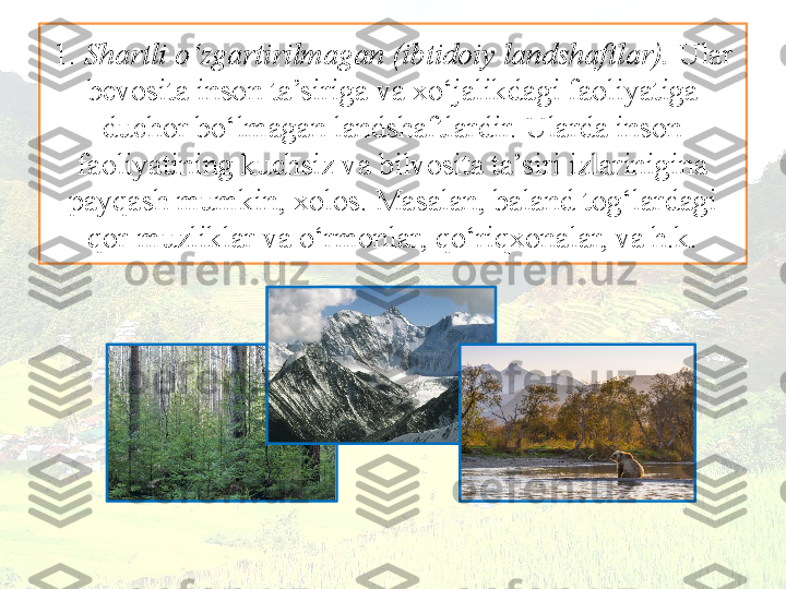 1.  Shartli o‘zgartirilmagan (ibtidoiy landshaftlar).  Ular 
bevosita inson ta’siriga va xo‘jalikdagi faoliyatiga 
duchor bo‘lmagan landshaftlardir. Ularda inson 
faoliyatining kuchsiz va bilvosita ta’siri izlarinigina
payqash mumkin, xolos. Masalan, baland tog‘lardagi 
qor-muzliklar va o‘rmonlar, qo‘riqxonalar, va h.k. 