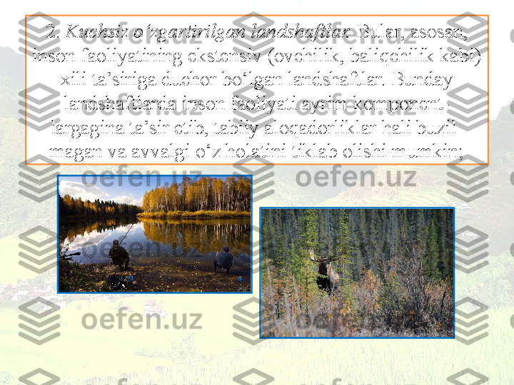 2.  Kuchsiz o‘zgartirilgan landshaftlar.  Bular, asosan, 
inson faoliyatining ekstensiv (ovchilik, baliqchilik kabi) 
xili ta’siriga duchor bo‘lgan landshaftlar. Bunday 
landshaftlarda inson faoliyati ayrim komponent-
largagina ta’sir etib, tabiiy aloqadorliklar hali buzil-
magan va avvalgi o‘z holatini tiklab olishi mumkin; 