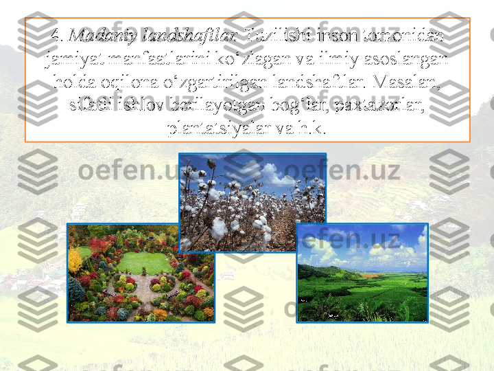 4.  Madaniy landshaftlar.  Tuzilishi inson tomonidan 
jamiyat manfaatlarini ko‘zlagan va ilmiy asoslangan 
holda oqilona o‘zgartirilgan landshaftlar. Masalan,
sifatli ishlov berilayotgan bog‘lar, paxtazorlar, 
plantatsiyalar va h.k. 