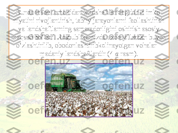 Bunda inson tomonidan landshaftlarning ichki imko-
niyatini rivojlantirish, tabiiy jarayonlarni faollashtirish 
va landshaftlarning samaradorligini oshirish asosiy 
maqsad bo‘ladi. Respublikamizda uzoq yillardan buyon 
o‘zlashtirilib, obodonlashtiribkelinayotgan vohalar – 
madaniy landshaftlardir (4  a -rasm). 