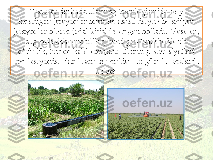 Geotextizimlarda ularning texnik qismida ro‘y 
beradigan jarayonlar bilan landshaftda yuz beradigan 
jarayonlar o‘zaro jadal kirishib ketgan bo‘ladi. Masalan, 
sug‘orib dehqonchilik qilinadigan landshaftlarda
o‘simlik, tuproq kabi komponentlarning xususiyatlari 
texnika yordamida inson tomonidan belgilanib, sozlanib 
turiladi.  