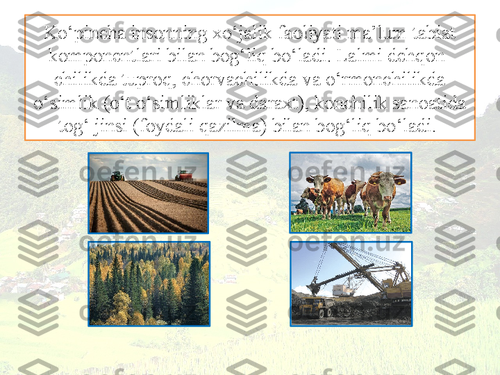 Ko‘pincha insonning xo‘jalik faoliyati ma’lum tabiat 
komponentlari  bilan bog‘liq bo‘ladi. Lalmi dehqon-
chilikda tuproq, chorvachilikda va o‘rmonchilikda 
o‘simlik (o‘t o‘simliklar va daraxt), konchilik sanoatida 
tog‘ jinsi (foydali qazilma) bilan bog‘liq bo‘ladi.  