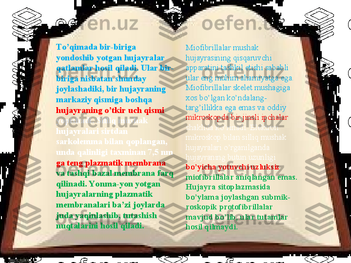 Тo’qimada bir-biriga 
yondoshib yotgan hujayralar 
qatlamlar hosil qiladi. Ular bir-
biriga nisbatan shunday 
joylashadiki, bir hujayraning 
markaziy qismiga boshqa 
hujayraning o’tkir uch qismi 
yopishadi. Silliq mushak 
hujayralari sirtdan 
sarkolemma bilan qoplangan, 
unda qalinligi taxminan 7,5 nm 
ga teng plazmatik membrana 
va tashqi bazal membrana farq 
qilinadi. Yo nma-yon yotgan 
hujayralarning plazmatik 
membranalari ba’zi joylarda 
juda yaqinlashib, tutashish 
nuqtalarini hosil qiladi.  Miofibrillalar mushak 
hujayrasining qisqaruvchi 
apparatini tashkil etishi sababli 
ular eng muhim ahamiyatga ega. 
Miofibrillalar skelet mushagiga 
xos bo’lgan ko’ndalang-
targ’illikka ega emas va oddiy 
mikroskopda bir jinsli ipchalar 
shaklida ko’rinadi. Elektron 
mikroskop bilan silliq mushak 
hujayralari o’rganilganda 
hujayraning butun uzunligi 
bo’yicha yotuvchi uzluksiz 
miofibrillalar aniqlangan emas. 
Hujayra sitoplazmasida 
bo’ylama joylashgan submik-
roskopik protofibrillalar 
mavjud bo’lib, ular tutamlar 
hosil qilmaydi.  