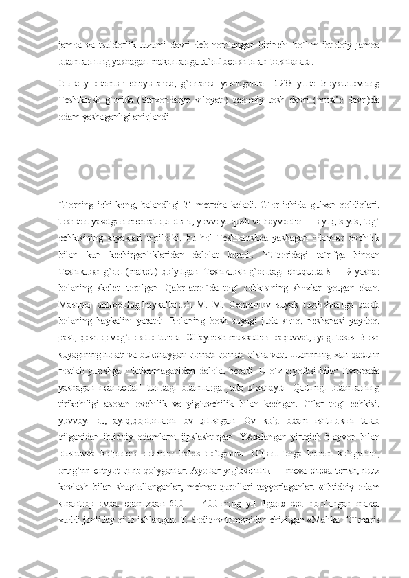 jamoa   va   tsuldorlik   tuzumi   davri   deb   nomlangan   birinchi   bo`lim   ibtidoiy   jamoa
odamlarining yashagan makonlariga ta`rif berish bilan boshlanadi.
Ibtidoiy   odamlar   chaylalarda,   g`orlarda   yashaganlar.   1938   yilda   Boysuntovning
Teshiktosh   g`orida   (Surxondaryo   viloyati)   qadimiy   tosh   davri   (must’e   davri)da
odam yashaganligi aniqlandi.
G`orning   ichi   keng,   balandligi   21   metrcha   keladi.   G`or   ichida   gulxan   qoldiqlari,
toshdan yasalgan mehnat qurollari, yovvoyi qush va hayvonlar — ayiq, kiyik, tog`
echkisining   suyaklari   topildiki,   bu   hol   Teshiktoshda   yashagan   odamlar   ovchilik
bilan   kun   kechirganliklaridan   dalolat   beradi.   YUqoridagi   ta`rifga   binoan
Teshiktosh g`ori (maketi) qo`yilgan. Teshiktosh g`oridagi chuqurda 8 — 9 yashar
bolaning   skeleti   topilgan.   Qabr   atrofida   tog`   echkisining   shoxlari   yotgan   ekan.
Mashhur   antropolog-haykaltarosh   M.   M.   Gerasimov   suyak   tuzilishlariga   qarab
bolaning   haykalini   yaratdi.   Bolaning   bosh   suyagi   juda   siqiq,   peshanasi   yaydoq,
past, qosh-qovog`i osilib turadi. CHaynash muskullari baquvvat, iyagi tekis. Bosh
suyagining holati va bukchaygan qomati qomati o`sha vaqt odamining xali qaddini
rostlab   yurishga   odatlanmaganidan   dalolat   beradi.   U   o`z   qiyofasi   bilan   Evropada
yashagan   neandertal’   turidagi   odamlarga   juda   o`xshaydi.   Qadimgi   odamlarning
tirikchiligi   asosan   ovchilik   va   yig`uvchilik   bilan   kechgan.   O`lar   tog`   echkisi,
yovvoyi   ot,   ayiq,qoplonlarni   ov   qilishgan.   Ov   ko`p   odam   ishtirokini   talab
qilganidan   ibtidoiy   odamlarni   jipslashtirgan.   YAralangan   yirtqich   h.ayvon   bilan
olishuvda   ko`pincha   odamlar   halok   bo`lganlar.   O`ljani   birga   baham   ko`rganlar,
ortig`ini ehtiyot qilib qo`yganlar. Ayollar yig`uvchilik — meva-cheva terish, ildiz
kovlash   bilan   shug`ullanganlar,   mehnat   qurollari   tayyorlaganlar.   «Ibtidoiy   odam
sinantrop   ovda.   eramizdan   600   —   400   ming   yil   ilgari»   deb   nomlangan   maket
xuddi jonliday qilib ishlangan. T. Sodiqov tomonidan chizilgan «Malika TO`maris 