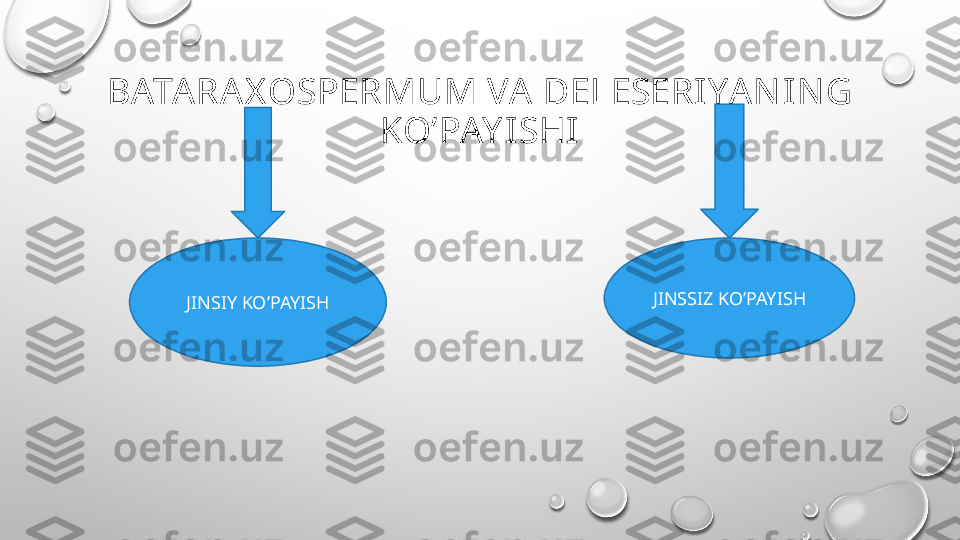 BATARAX OSPERMUM VA DELESERI YAN IN G 
KO’PAY ISHI
JINSIY KO’PAYISH JINSSIZ KO’PAYISH 