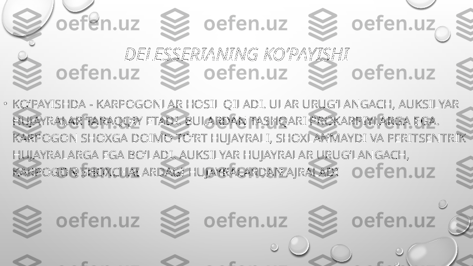 DELESSERIANING KO’PAYISHI
•
KO‘PAYISHDA - KARPOGONLAR HOSIL QILADI. ULAR URUG‘LANGACH, AUKSILYAR 
HUJAYRALAR TARAQQIY ETADI. BULARDAN TASHQARI PROKARPIYLARGA EGA. 
KARPOGON SHOXGA DOIMO TO‘RT HUJAYRALI, SHOXLANMAYDI VA PERITSENTRIK 
HUJAYRALARGA EGA BO‘LADI. AUKSILYAR HUJAYRALAR URUG‘LANGACH, 
KARPOGON SHOXCHALARDAGI HUJAYRALARDAN A JRALADI 