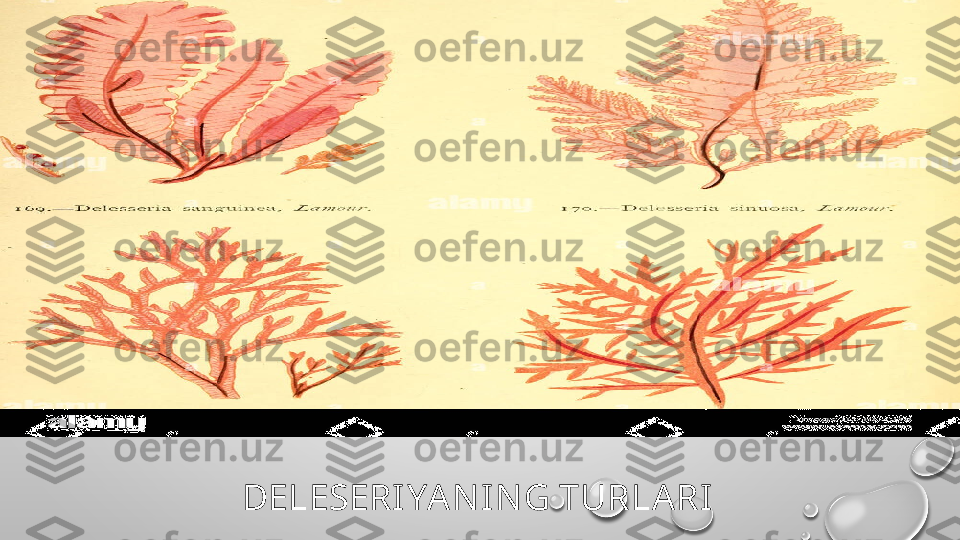 DELESERI YAN IN G TURLARI 