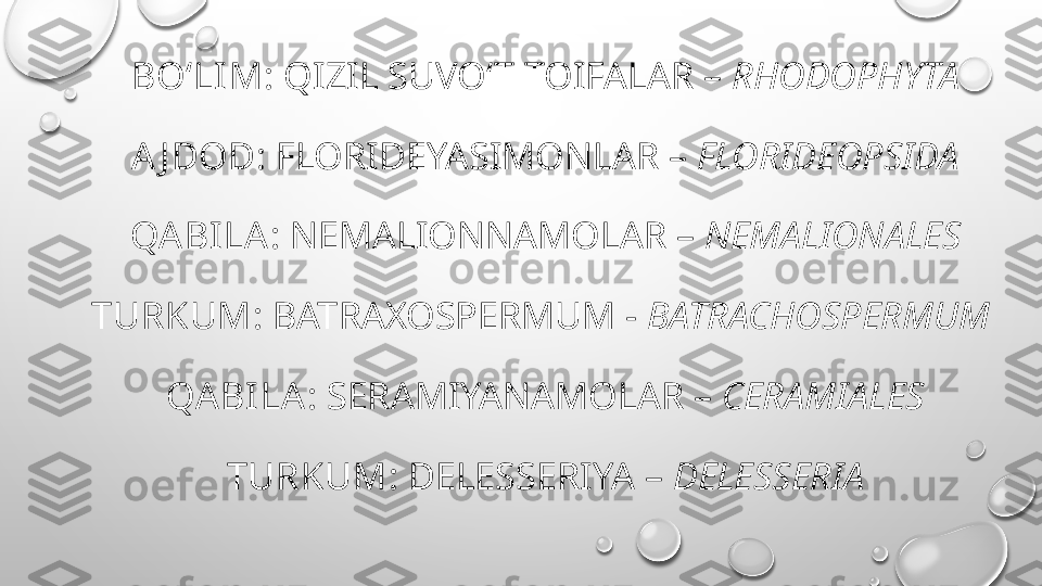 BO‘LI M : QIZIL SUVO‘T TOIFALAR –  RHODOPHYTA
A J DOD:  FLORIDEYASIMONLAR –  FLORIDEOPSIDA
QA BILA : NEMALIONNAMOLAR –  NEMALIONALES
TURKUM : BATRAXOSPERMUM -  BATRACHOSPERMUM 
QABILA : SERAMIYANAMOLAR –  CERAMIALES
TURKUM : DELESSERIYA –  DELESSERIA
  