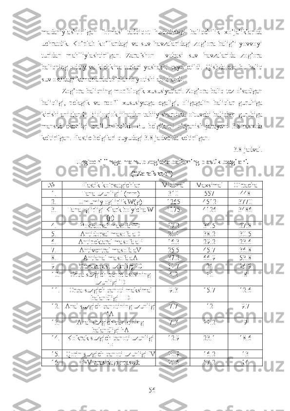 madaniylashtirilgan   formasi   tadqiqot   hududidagi   baliqchilik   xo’jaliklarida
uchratdik.   Ko’plab   ko’llardagi   va   suv   havzalaridagi   zog’ora   balig’i   yovvoyi
turidan   mahlliylashtirilgan.   Zarafshon     vohasi   suv   havzalarida   zog’ora
baliqning   oddiy   va   kichkina   turlari   yashashi   qayd   etildi.   Qishda   esa   bu   baliq
suv ostidagi kamarlarda to’planib yotishi aniqlandi.
Zog’ora baliqning   morfologik   xususiyatlari.   Zog’ora baliq tez o’sadigan
baliqligi,   pelagik   va   reofil   xususiyatga   egaligi,   oligagalin   baliqlar   guruhiga
kirishi aniqlandi. Biologiok   jihatdan   tabiiy   sharoitda   o`tuvchi baliqlar   guruhiga
mansub   ekanligi   ma’lum   bo’ldi.   Bu   belgilarni   o’rganish   jarayoni   3.8-rasmda
keltirilgan. Plastic   belgilari quyudagi 3.8-jadvalda   keltirilgan.
3.8-jadval.
Urg`ochi jinsga   mansub  zog’ora baliq ning   plastik   belgilari.
(“Zarafshon”)  
№ Plastik   ko`rsatgichlar Minimal Maxsimal O`rtacha
1. Tana uzunligi l (mm) 310 557 448
2. Umumiy og' irlik W(g) 1265 4512 3770
3. Tana og'irligi Klark bo'yicha W
(g) 1075 4126 3486
4. Postdorsal masofa PD 19.2 34.5 27.8
5. Antidorsal masofa aD 21.1 38.2 30.5
6. Antipektaral masofa aP 16.3 29.2 23.6
7. Antiventral masofa aV 25.5 45.7 36.8
8. Antianal masofa aA 37.2 66.9 53.8
9. Dum tanasi uzunligi lC 11.7 21 16.9
10. Orqa suzgich qanot asosining
uzunligi lD 6.2 10 8
11. Orqa suzgich qanoti maksimal
balandligi HD 9.3 15.7 12.6
12. Anal suzgich qanotining uzunligi
lA 7.7 12 9.7
13. Anal suzgich qanotining
balandligi hA 7.3 11.2 9
14. Ko'krak suzgich qanoti uzunligi
lP 12.9 23.1 18.6
15. Qorin suzgich qanoti uzunligi lV 10.9 16.2 13
16. P-V orasidagi masofa 10.6 17.2 14
56 