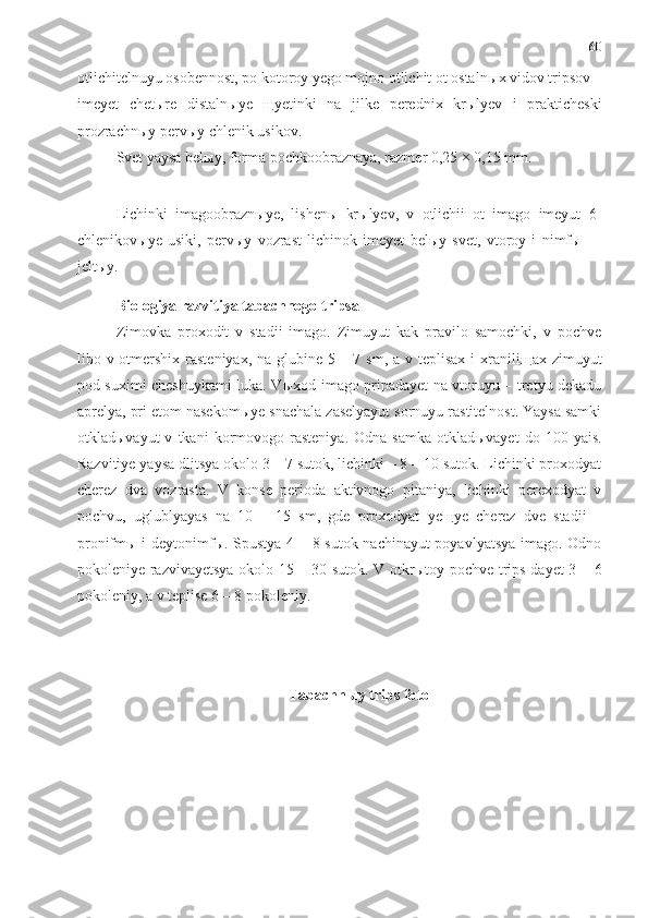 60
otlichitelnuyu osobennost, po kotoroy yego mojno otlichit ot ostaln ы x vidov tripsov –
imeyet   chet ы re   distaln ы ye   щ yetinki   na   jilke   perednix   kr ы lyev   i   prakticheski
prozrachn ы y perv ы y chlenik usikov.
Svet yaysa bel ы y, forma pochkoobraznaya, razmer 0,25 × 0,15 mm.
Lichinki   imagoobrazn ы ye,   lishen ы   kr ы lyev,   v   otlichii   ot   imago   imeyut   6-
chlenikov ы ye   usiki,   perv ы y   vozrast   lichinok   imeyet   bel ы y   svet,   vtoroy   i   nimf ы   —
jelt ы y.
Biologiya razvitiya tabachnogo tripsa
Zimovka   proxodit   v   stadii   imago.   Zimuyut   kak   pravilo   samochki,   v   pochve
libo v otmershix rasteniyax, na glubine 5 – 7 sm, a v teplisax i xranili щ ax zimuyut
pod suximi cheshuykami luka. V ы xod imago pripadayet na vtoruyu – tretyu dekadu
aprelya, pri etom nasekom ы ye snachala zaselyayut sornuyu rastitelnost. Yaysa samki
otklad ы vayut   v   tkani   kormovogo  rasteniya.   Odna   samka   otklad ы vayet   do  100   yais.
Razvitiye yaysa dlitsya okolo 3 – 7 sutok, lichinki – 8 – 10 sutok. Lichinki proxodyat
cherez   dva   vozrasta.   V   konse   perioda   aktivnogo   pitaniya,   lichinki   perexodyat   v
pochvu,   uglublyayas   na   10   –   15   sm,   gde   proxodyat   ye щ ye   cherez   dve   stadii   –
pronifm ы   i deytonimf ы . Spustya 4 – 8 sutok nachinayut poyavlyatsya imago. Odno
pokoleniye razvivayetsya okolo 15 – 30 sutok. V otkr ы toy pochve trips dayet 3 – 6
pokoleniy, a v teplise 6 – 8 pokoleniy.
Tabachnыy trips foto 