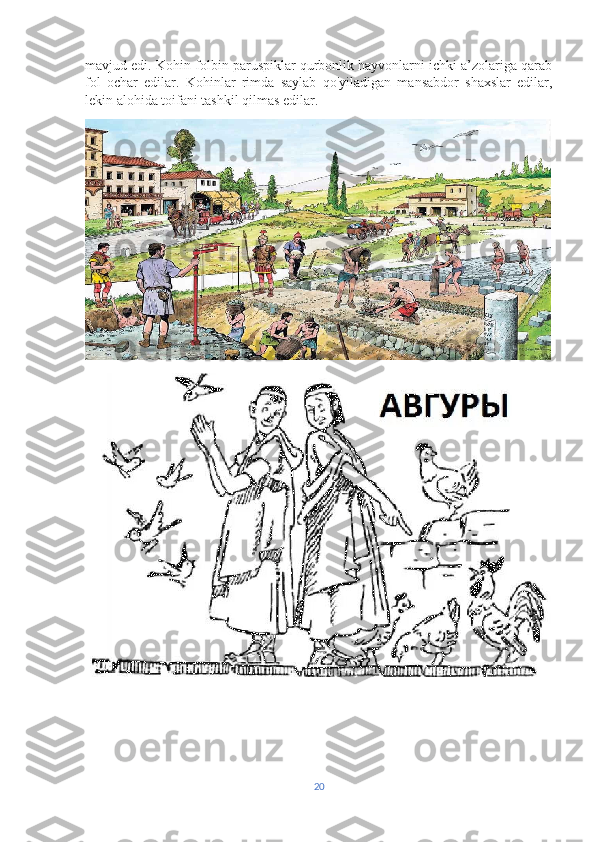 mavjud edi. Kohin-folbin paruspiklar qurbonlik hayvonlarni ichki a’zolariga qarab
fol   ochar   edilar.   Kohinlar   rimda   saylab   qo'yiladigan   mansabdor   shaxslar   edilar,
lekin alohida toifani tashkil qilmas edilar.
20 