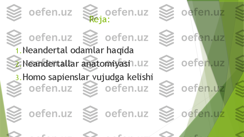 Reja:
1. Neandertal odamlar haqida
2. Neandertallar anatomiyasi
3. Homo sapienslar vujudga kelishi                