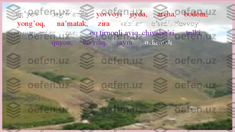 Tog’yon       bag’irlarida     yovvoyi    jiyda,     archa,    bodom,    
yong’oq,      na’matak,     zira      kabilar     o’sadi. Yovvoyi     
xayvonlardan     esa;       oq tirnoqli ayiq, chiyabo’ri,     tulki,      
quyon,     bo’rsiq,     jayra       uchraydi.     