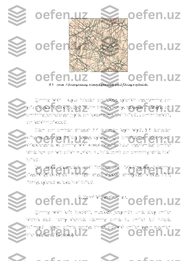 .8.1. - rasm. Fibrinogenning erimaydigan tolali oqsil-fibringa aylanishi.
Qonning   ivishi   -   suyuq   holatdan   qon   laxtaga   aylanishi   organizmning   qon
yo’qotishga to’sqinlik qiladigan muhim biologik himoya reaksiyasidir. Mayda qon
tomirining jarohatlangan joyida qon laxtasi-tromb hosil bo’ladi, u tomirni berkitib,
qon ketishini to’xtatadi. 
Odam   qoni   tomirdan   chiqgach   3-4   daqiqadan   keyin   iviydi,   5-6   daqiqadan
so’ng   esa   butunlay   dirildoq   laxtaga   aylanadi.   Qon   tomirlarining     ichki   qavati
shikastlanganda   va   qonning   ivish   xossasi   ortganda   butun   organizmdagi   tomirlar
ichida ham qon ivib qolishi mumkin. Bu holda tromb qon tomirining ichida hosil
bo’ladi. 
Qon   ivishi   plazmadagi   oqsil-fibrinogenning   fizik-kimyoviy   holatining
o’zgarishiga   asoslanadi.   Fibrinogen   erigan   shakldan   erimaydigan   shaklga   o’tib,
fibringa aylanadi va laxta hosil bo’ladi.
9. Qonni ivituvchi omillar.
Qonning   ivishi   ko’p   bosqichli,   murakkab   jarayondir.   Unda   talay   omillar
ishtirok   etadi.   Tabiiy   sharoitda   odamning   qonida   bu   omillar   faol   holatda
bo’lmaydi.   Halqaro   qo’mita   qaroriga   binoan   qon   ivish   omillari   yunon   raqamlari
bilan belgilanadi (2-jadval).   