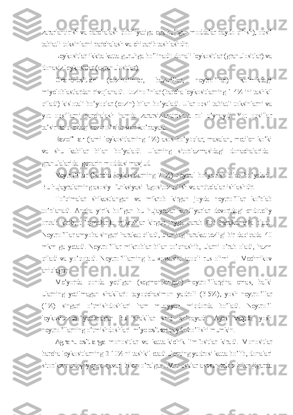 zararlantirish va parchalash qobiliyatiga ega bo’lgan moddalar paydo qilish), oqsil
tabiatli toksinlarni parchalash va chiqarib tashlashdir. 
Leykositlar ikkita katta guruhga bo’linadi: donali leykositlar (granulositlar) va
donasiz leykositlar (agranulositlar).
Granulositlar   (eozinofinlar,   bazofillar,   neytrofillar)   ko’mikdagi
miyeloblastlardan rivojlanadi. Eozinofinlar (barcha leykositlarning 1-4% ini tashkil
qiladi) kislotali bo’yoqlar (eozin) bilan bo’yaladi. Ular oqsil tabiatli toksinlarni va
yot   oqsillarni   parchalash   hamda   zararsizlantirishda   rol   o’ynaydi.   Yot   oqsillar
ta’sirida qondagi eozinofinlar soni ko’payadi.
Bazofillar   (jami   leykositlarning   1%)   asos   bo’yoqlar,   masalan,   metilen   ko’ki
va   shu   kabilar   bilan   bo’yaladi.   Ularning   sitoplazmasidagi   donachalarida–
granulalarida  geparin moddasi mavjud. 
Neytrofillar   (barcha   leykositlarning   70%)   neytral   bo’yoqlar   bilan   bo’yaladi.
Bu hujayralarning asosiy  funksiyasi-fagositoz qilish va antitelalar ishlashdir. 
To’qimalar   shikastlangan   va   mikrob   kirgan   joyda   neytrofillar   ko’plab
to’planadi.   Ancha   yirik   bo’lgan   bu   hujayralar   kapillyarlar   devoridagi   endoteliy
orqali   kirib,   to’qimalarda   mikroblar   kirgan   joyga   qarab   faol   harakat   qila   oladi.
Neytrofillar amyoba singari harakat qiladi, ularning harakat tezligi bir daqiqada  40
mkm   ga   yetadi.   Neytrofillar   mikroblar   bilan   to’qnashib,   ularni   o’rab   oladi,   hazm
qiladi   va   yo’qotadi.   Neytrofillarning   bu   xossasini   atoqli   rus   olimi   I.I   Mechnikov
aniqlagan. 
Me’yorda   qonda   yetilgan   (segmentlangan)   neytrofillargina   emas,   balki
ularning   yetilmagan   shakllari:   tayoqchasimon   yadroli   (3-5%),   yosh   neytrofillar
(1%)   singari   o’tmishdoshlari   ham   muayyan   miqdorda   bo’ladi.   Neytrofil
leykositozda   yetilmagan   bu   shakllar   soni   ko’payadi.   Ayni   vaqtda   yosh
neytrofillarning o’tmishdoshlari- miyelositlar   paydo bo’lishi mumkin. 
Agranulositlarga   monositlar   va   katta-kichik   limfositlar   kiradi.   Monositlar
barcha leykositlarning 2-10% ni tashkil etadi.ularning yadrosi katta bo’lib, donalari
sitoplazmaning yupqa qavati bilan o’ralgan. Monositlar asosan taloq bilan jigarda 