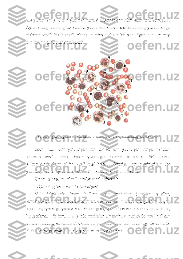 suv yuqotilishi yoki qon yuqotish natijasida qonning miqdori vaqtincha kamayadi.
Aylanishdagi   qonning   tez   suratda   yuqotilishi   shaklli   elementlarning   yuqotilishiga
nisbatan   xavfli   hisoblanadi,   chunki   bunday   tezlik   bilan   yuqotilgan   qon   umumiy
qon bosimiga ham ta’sir etkazadi.
2.2.-rasm. Qonning shaklli elementlari. 1-eritrositlar; 2-8 leykositlarning har xil turlari
Sekin   hatto   ko’p   yo’qotilgan   qon   tez   va   kam   yuqotilgan   qonga   nisbatan
unchalik   xavfli   emas.   Sekin   yuqotilgan   hamma   eritrositlar   3/4   nisbati
yo’qotilganda   ham   o’lim   xavfi   tug’ilmaydi.   Arteriya   qon   tomirlaridan   tez
yuqotilgan umumiy qonning 1/3 – 1/2 nisbati o’limga olib keladi.
Qon quyidagi muhim funlcsiyalarni bajaradi:
1. Qonning tashuvchilik funksiyasi
Me’da-ichaklarda   hazm   bo’lgan   oziq   moddalar   (oqsillar,   yog’lar,
karbonsuvlar, mineral tuzlar, vitaminlar, suv) qon va limfa tomirlariga so’rilib, qon
orqali   hujayralarga   yetkaziladi.   Shuningdek,   qon   o’pkadan   kislorod   qabul   qilib,
hujayralarga   olib   boradi.   U   yerda   moddalar   almashinuvi   natijasida   hosil   bo’lgan
qoldiq moddalar va karbonat kislota qonga o’tadi. Ular qon orqali ayiruv va nafas
olish a’zolariga yetkazilib tashqariga chiqarib yuboriladi. 