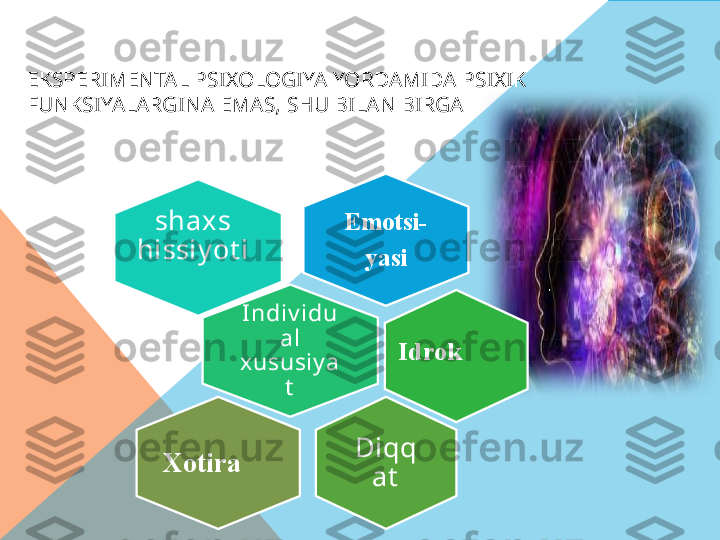 EKSPERIMENTAL PSIXOLOGIYA YORDAMIDA PSIXIK 
FUNKSIYALARGINA EMAS, SHU BILAN BIRGA 
Emotsi-
yasi
I ndiv idu
al 
xususiy a
tshaxs 
hissiy ot i
Diqq
at Idrok
Xotira  