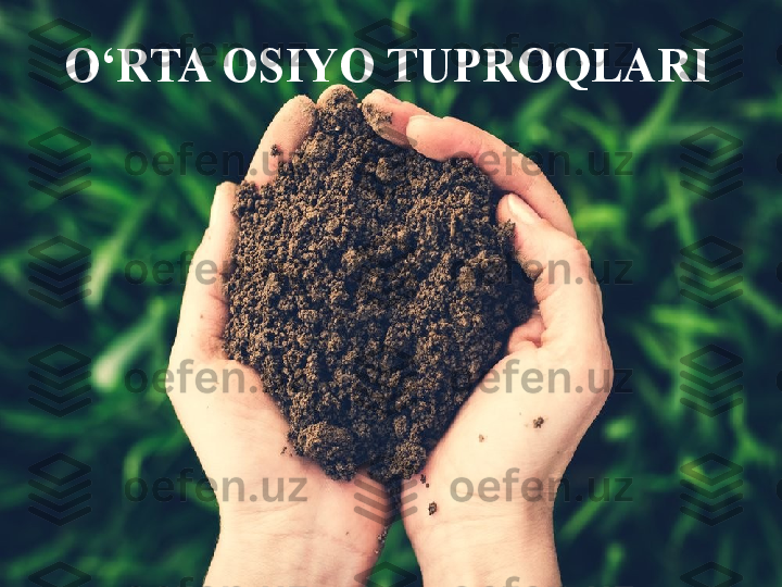 O‘RTA OSIYO TUPROQLARI 